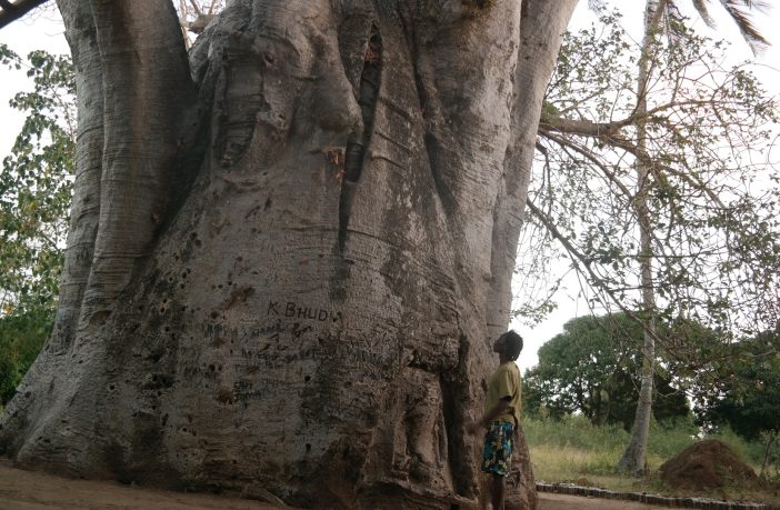 the Magunga