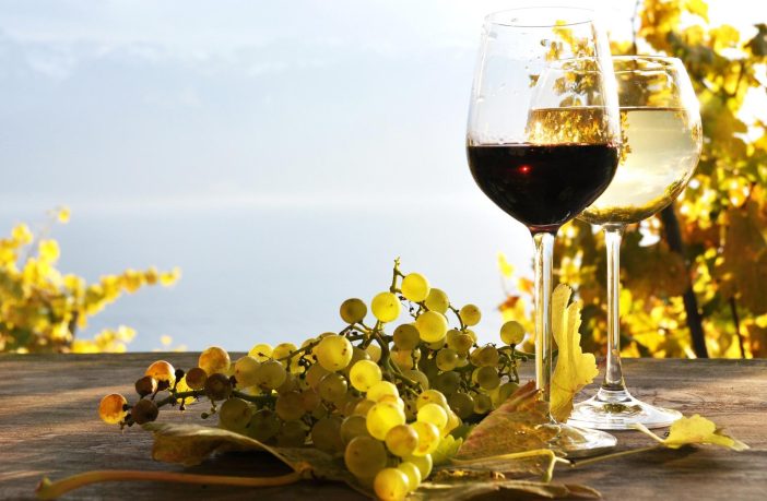 Of Wine and Tongue Rings